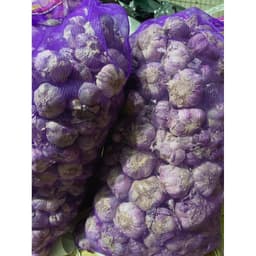 1Kg Tỏi Tím Phan Rang Củ To Tím Đẹp, Tỏi Già Củ Chất Củ , Ăn Thơm Ngon Phù Hợp Với Tất Cả Các Món Ăn Gđ 2