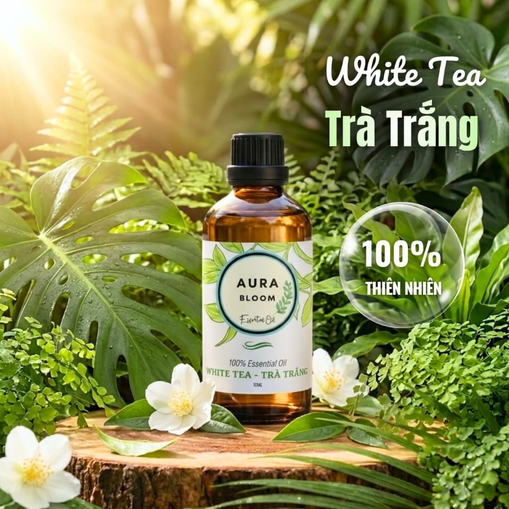 Tinh Dầu Trà Trắng 100ml Aura Bloom Thiên Nhiên Nguyên Chất Nhập Khẩu