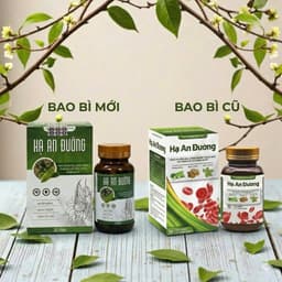 Viên uống tiểu đường Hạ An Đường hỗ trợ chuyển hoá đường huyết & ổn định đường trong máu 3