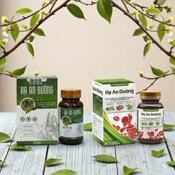 Viên uống tiểu đường Hạ An Đường hỗ trợ chuyển hoá đường huyết & ổn định đường trong máu 4