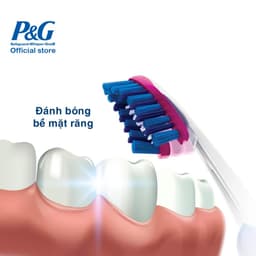 Bàn Chải Oral-B Trắng sáng 3D/ 7 Benefits Vỉ 3 Cây/ 5 Cây 3