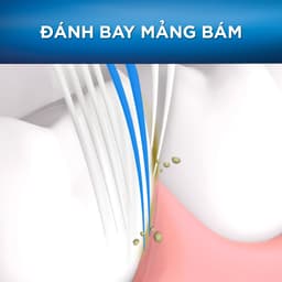 Bàn Chải Oral-B Trắng sáng 3D/ 7 Benefits Vỉ 3 Cây/ 5 Cây 6
