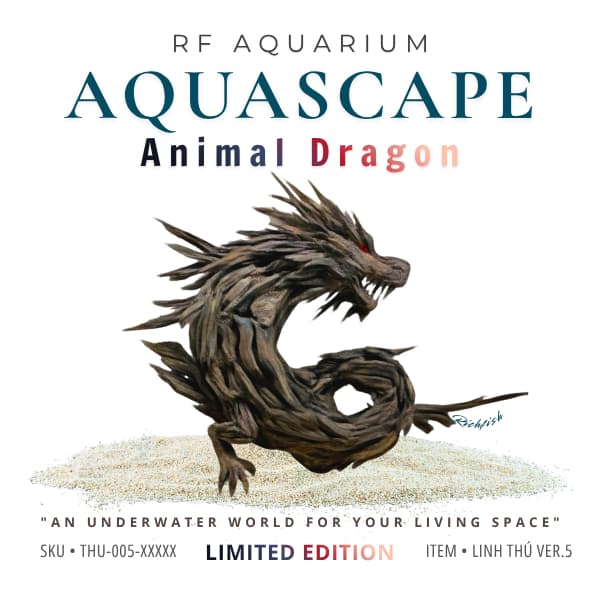 Limited I Layout Thủy Sinh Rồng Châu Á Thương Hiệu RFaquarium I Nghệ Thuật Điêu Khắc Gỗ Lũa