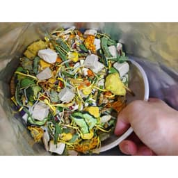 Thức ăn Kims 60 thành phần cho chuột hamster thức ăn trại trung cao cấp đạm trứng sữa 4