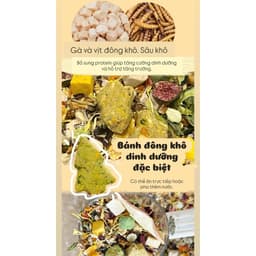 Thức ăn Kims 60 thành phần cho chuột hamster thức ăn trại trung cao cấp đạm trứng sữa 2