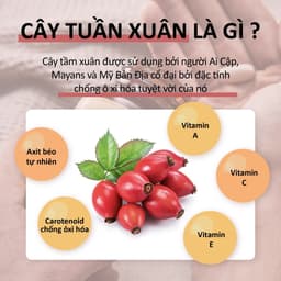 [Hàng cty full va.t]  Viên Uống Solgar Zinc Kẽm Citrate 30Mg -  Bổ Sung Kẽm Chăm Sóc Sức Khỏe Phái Nam [Lọ 100 Viên] 9