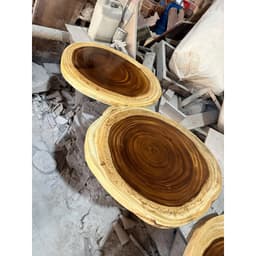 Mặt Bàn, Mặt Ghế Gỗ Me Tây Hình Tròn (Không Kèm Chân), Tấm Gỗ Tự Nhiên Nguyên Tấm Thân Cây 9