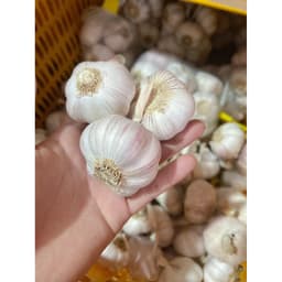 Combo 5Kg Tỏi Hồng Còn Vỏ Lụa size 4-5cm , Củ Tròn Đều Đẹp 2