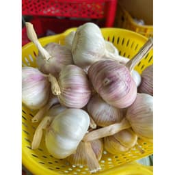 Combo 5Kg Tỏi Hồng Còn Vỏ Lụa size 4-5cm , Củ Tròn Đều Đẹp 3