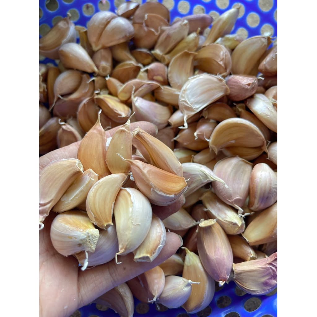 500G Tỏi Tép Hồng , Tép Rời To Sạch Đẹp hàng mới nên tỏi không bị khô, hương vị thơm ngon, phù hợp với các món