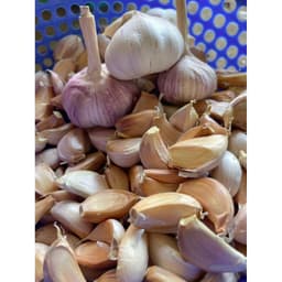 500G Tỏi Tép Hồng , Tép Rời To Sạch Đẹp hàng mới nên tỏi không bị khô, hương vị thơm ngon, phù hợp với các món 3