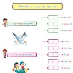 Sách - Túi Trọn Bộ Tiếng Việt Học Chuyên Sâu - Học Đâu Chắc Đấy Lớp 1 - Cả năm (5 cuốn ) 8
