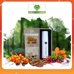 Seaberry Booster ++ Mẹ Ken (30ml) 1