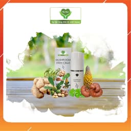 MUSHROOM STEM-CELLS (15ml) 1