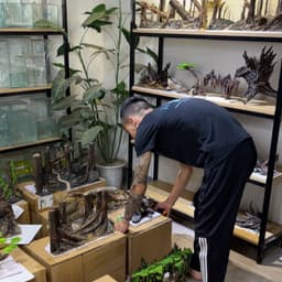 Layout Vách Suối Ver.4 Có Hang Tròn | Chế Tác Từ Nguyên Liệu Tự Nhiên | RF Aquarium 5