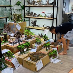 Layout Vách Suối Ver.4 Có Hang Tròn | Chế Tác Từ Nguyên Liệu Tự Nhiên | RF Aquarium 7