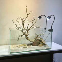 Bể Cá Mini Kích Thước 40x23x25cm Trang Trí Bàn Làm Việc | RF Aquarium 3