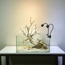 Bể Cá Mini Kích Thước 40x23x25cm Trang Trí Bàn Làm Việc | RF Aquarium 5