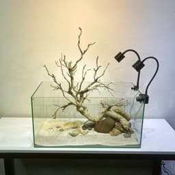 Bể Cá Mini Kích Thước 40x23x25cm Trang Trí Bàn Làm Việc | RF Aquarium 2