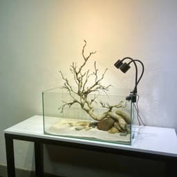 Bể Cá Mini Kích Thước 40x23x25cm Trang Trí Bàn Làm Việc | RF Aquarium 4
