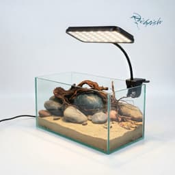 Bộ Combo Bể Shallow Tank 30cm | Layout Biotop Đá Cuội Đầy Đủ Đèn Lọc Và Sạn Nền | RF Aquarium 2