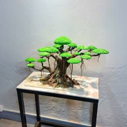 Mẫu Layout Bonsai Ver.5 | Dòng Layout Thuỷ Sinh Thuỷ Sinh Cao Cấp Dễ Chăm Sóc | RF Aquarium 4