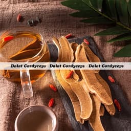 Nấm linh chi đỏ, hồng chi thái lát - lọ 50g - Dalat Cordyceps 3