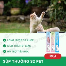 Súp thưởng thanh S2 PET 15G - đủ 3 vị thịt Tươi Nguyên Chất, Bổ Sung Vitamin, Không Chất Bảo Quản 2