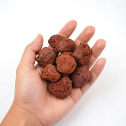 VLL đá Nham thạch đỏ dùng làm vật liệu lọc nước bể cá nhiều (100g) 5