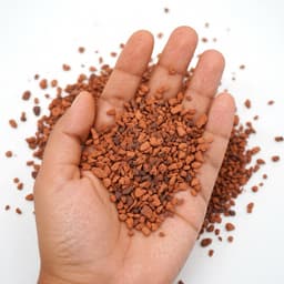 500g Gốm Ceramic dùng trải nền cho bể thuỷ sinh ươm Bucep, Rêu, Ráy (Loại hạt nhỏ) 2