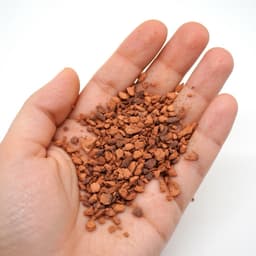 500g Gốm Ceramic dùng trải nền cho bể thuỷ sinh ươm Bucep, Rêu, Ráy (Loại hạt nhỏ) 3