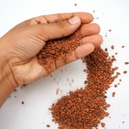 500g Gốm Ceramic dùng trải nền cho bể thuỷ sinh ươm Bucep, Rêu, Ráy (Loại hạt nhỏ) 4