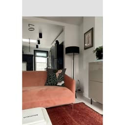 Gối tựa lưng sofa, gối ôm, trang trí nhà cửa họa tiết TRỪU TƯỢNG NÀNG THƠ chất liệu nhung lông 5