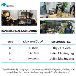 1kg Đá Nham Xanh Dùng Setup Layout, Tiểu Cảnh Bể Cá Thuỷ Sinh Nhiều Kích Thước 7