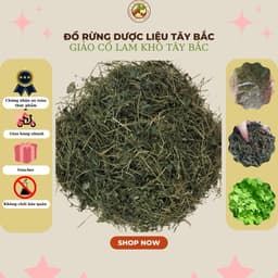 1Kg Giảo Cổ Lam 5 Lá Hòa Bình (Đạt Chuẩn GACP WHO), Sao Tươi Cao Cấp, Hỗ Trợ Ổn Định Huyết Áp, Giúp Ngủ Ngon, Thanh Lọc Cơ Thể, Giải Nhiệt 4