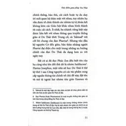 Sách - Người Do Thái trong thời kỳ Jesu 8