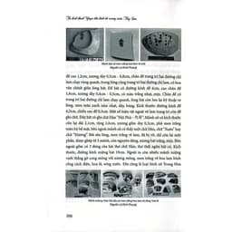 Sách - Từ kinh thành Vijaya đến Kinh Đô vương triều Tây Sơn 6