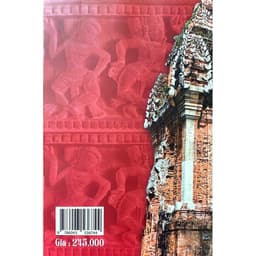 Sách - Từ kinh thành Vijaya đến Kinh Đô vương triều Tây Sơn 3