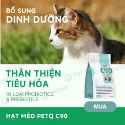 Thức ăn hạt cho mèo PetQ C90/C90U/C90K - 1KG 90% từ thịt, hạt có nhân bên trong - Méo Chò Uni 7