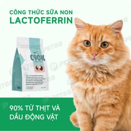 Thức ăn hạt cho mèo PetQ C90K - 1KG hạt có nhân bên trong, bổ sung sữa dê - Méo Chò Uni 5