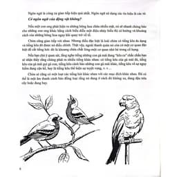 Sách - Lịch sử hình thành và phát triển ngôn ngữ - Tác giả: FR.Folsom 8