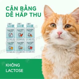 [COMBO 48 GÓI TIẾT KIỆM] Pate sữa dê cho mèo PetQ - 70g giàu dinh dưỡng - MÉO CHÒ UNI 2