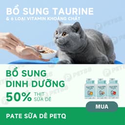 [COMBO 48 GÓI TIẾT KIỆM] Pate sữa dê cho mèo PetQ - 70g giàu dinh dưỡng - MÉO CHÒ UNI 4