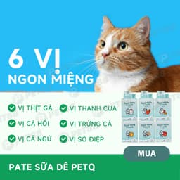 [COMBO 48 GÓI TIẾT KIỆM] Pate sữa dê cho mèo PetQ - 70g giàu dinh dưỡng - MÉO CHÒ UNI 3