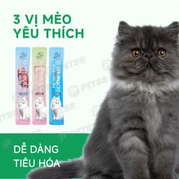 COMBO TIẾT KIỆM 50 thanh súp thưởng thanh 3 vị thương hiệu S2PET mỗi thanh 15g - Méo Chò Uni 2