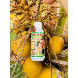 BÓNG TRÁI DỪA 9999 TẨY SẠCH  ĐỐM ĐEN -SÁNG TRÁI-ĐẸP TRÁI-ĐẠT CHUẨN XUẤT KHẨU CHAI 500ML 4