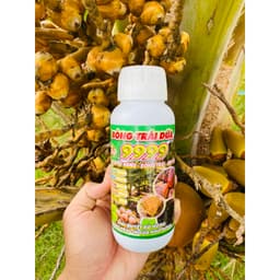 BÓNG TRÁI DỪA 9999 TẨY SẠCH  ĐỐM ĐEN -SÁNG TRÁI-ĐẸP TRÁI-ĐẠT CHUẨN XUẤT KHẨU CHAI 500ML 5