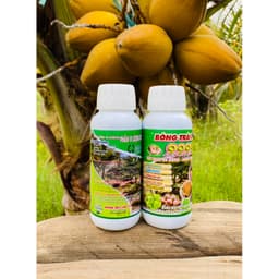 BÓNG TRÁI DỪA 9999 TẨY SẠCH  ĐỐM ĐEN -SÁNG TRÁI-ĐẸP TRÁI-ĐẠT CHUẨN XUẤT KHẨU CHAI 500ML 3
