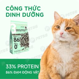 Hạt cho mèo cao cấp Cat's On Mix R - 350g hỗ trợ sức khoẻ tiết niệu - MÉO CHÒ UNI 4