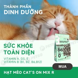 Hạt cho mèo cao cấp Cat's On Mix R - 350g hỗ trợ sức khoẻ tiết niệu - MÉO CHÒ UNI 5